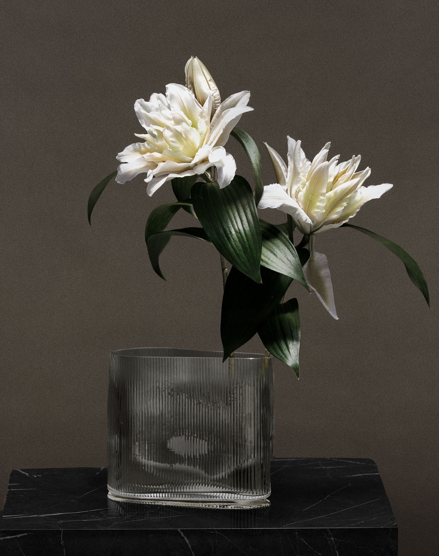 kathrin-hohberg-wilvorst-atelier-torino-2026-jaan-eric-fischer-22